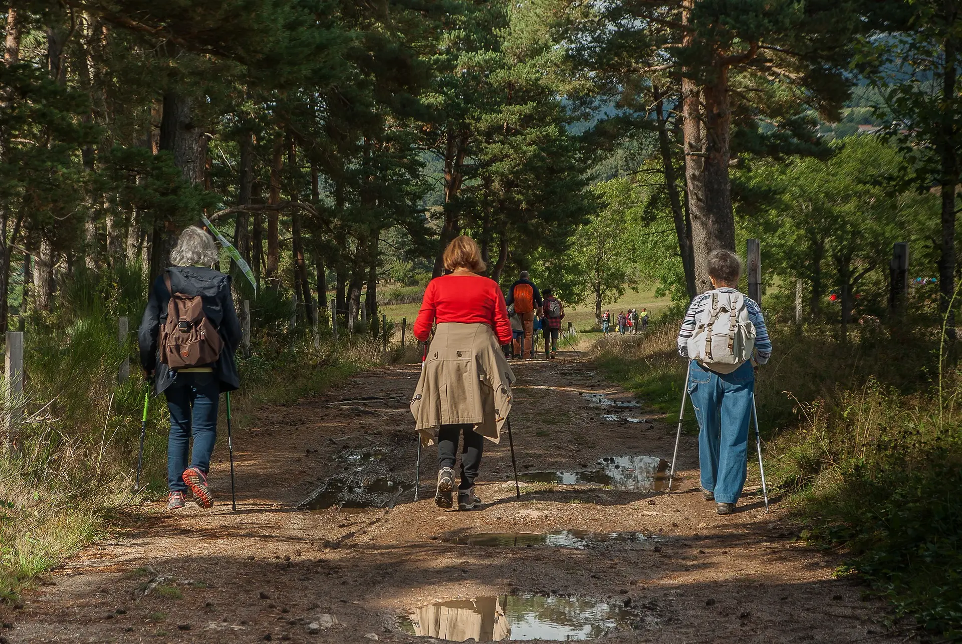 Hiking women on a path