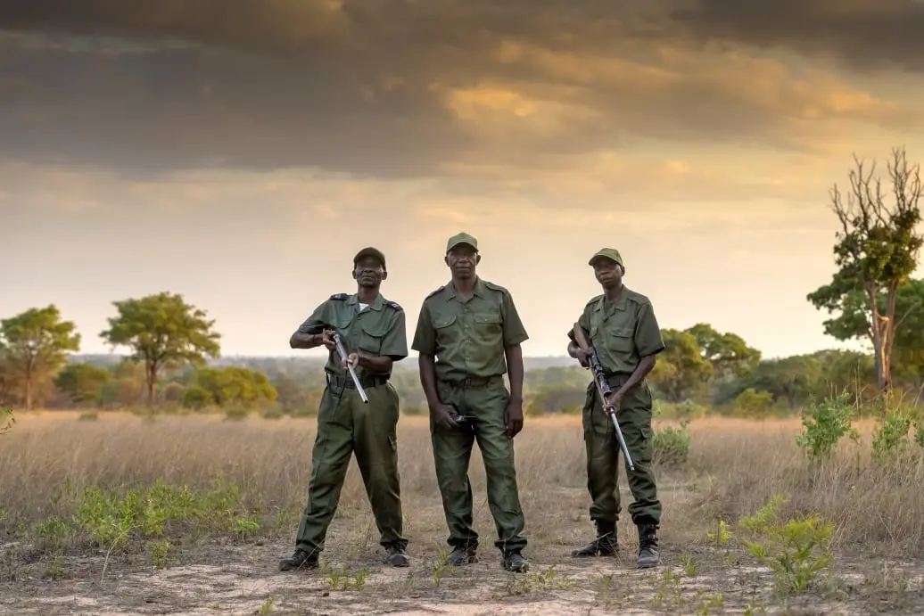 Anti-poaching combat