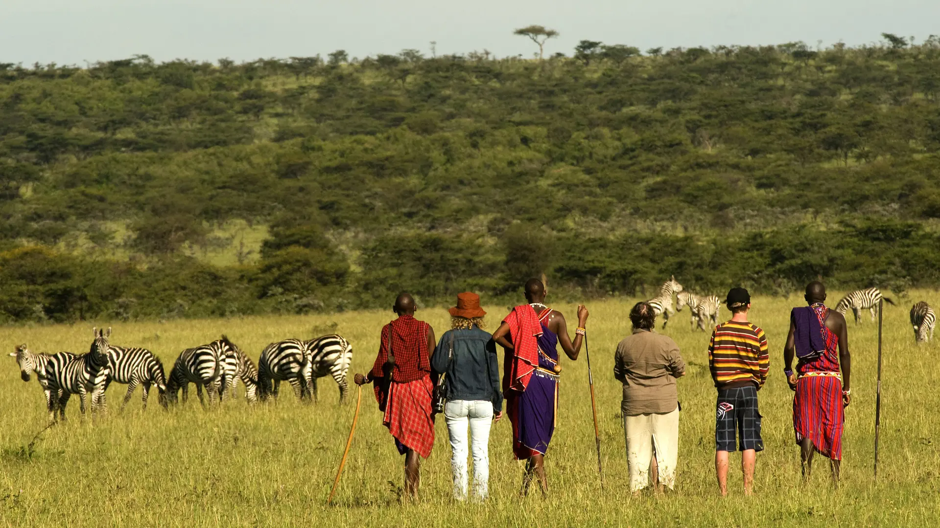 Maasai with tourists watching wildlife